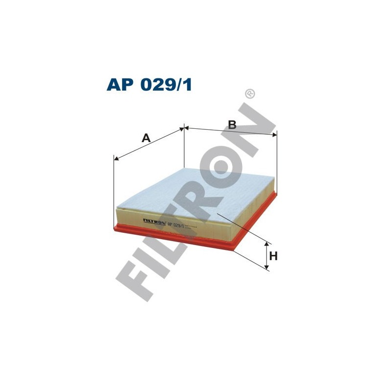 Filtro de Aire Filtron AP029/1 BMW Serie X5 (E70), Serie X6 (E71)