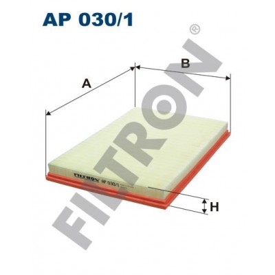 Filtro de Aire Filtron AP030/1 BMW Serie X5 (E70)