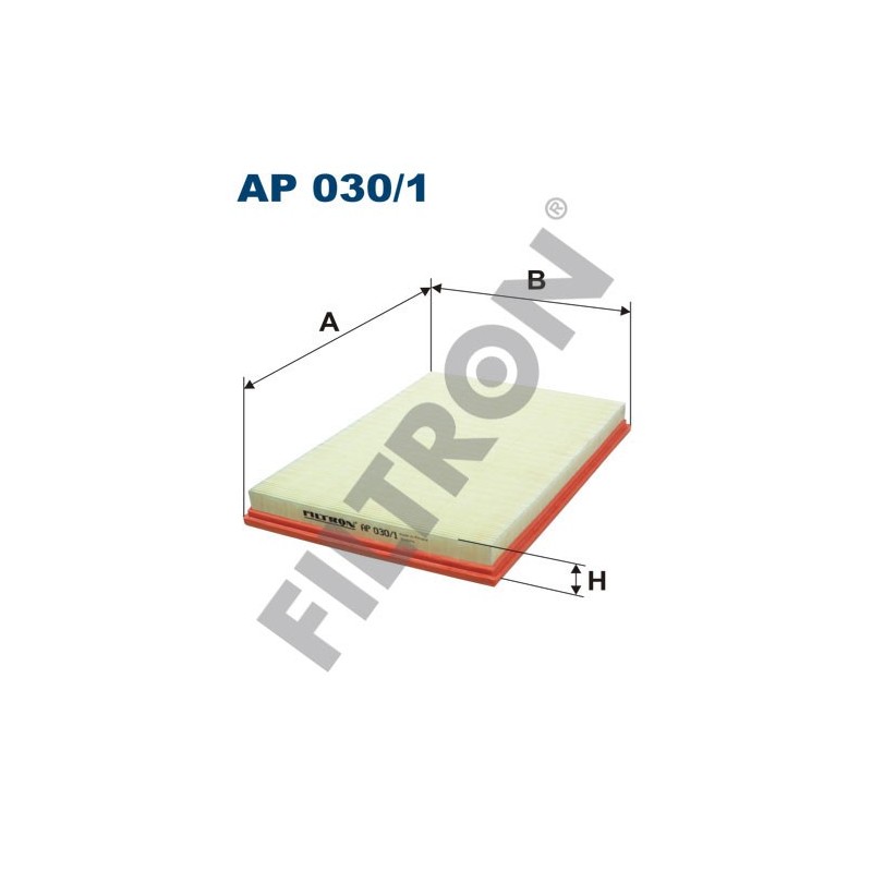 Filtro de Aire Filtron AP030/1 BMW Serie X5 (E70)