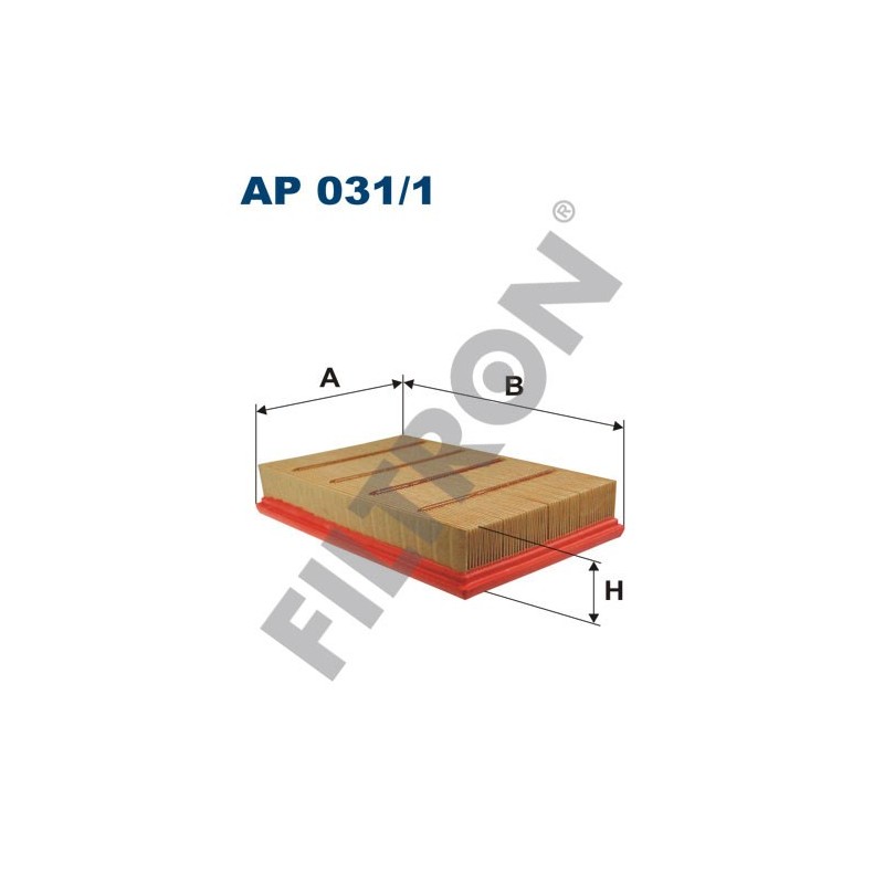 Filtro de Aire Filtron AP031/1 BMW Serie X3 (E83)