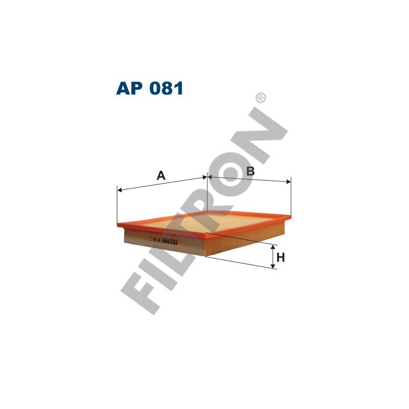 Filtro de Aire Filtron AP081 BMW Serie 5 (E34)