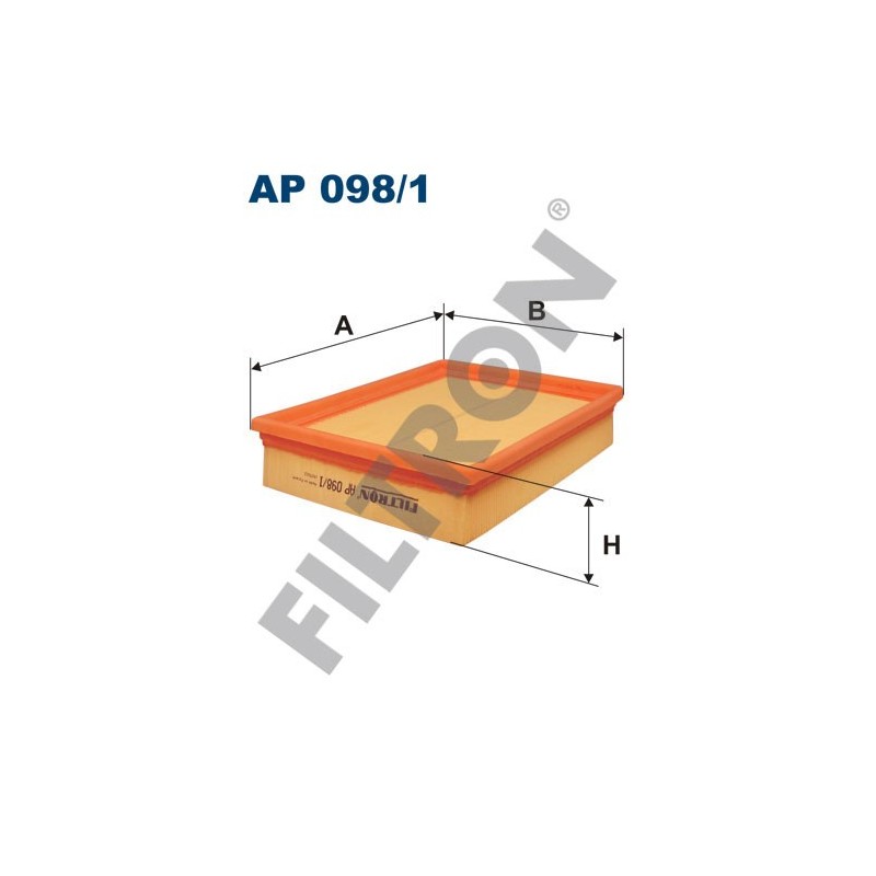 Filtro de Aire Filtron AP098/1 Fiat Multipla