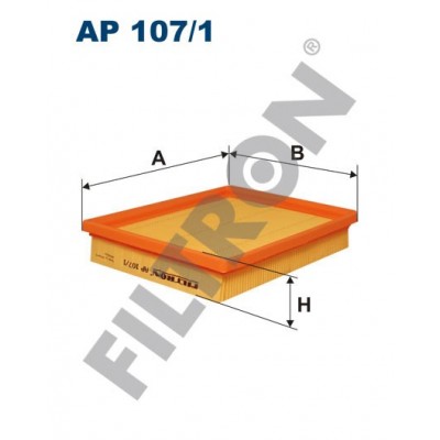 Filtro de Aire Filtron AP107/1 Hyundai Accent II